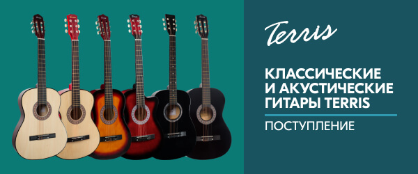 Поступление классических и акустических гитар TERRIS